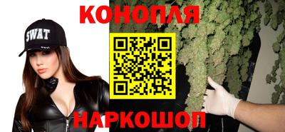 apvp Пугачёв