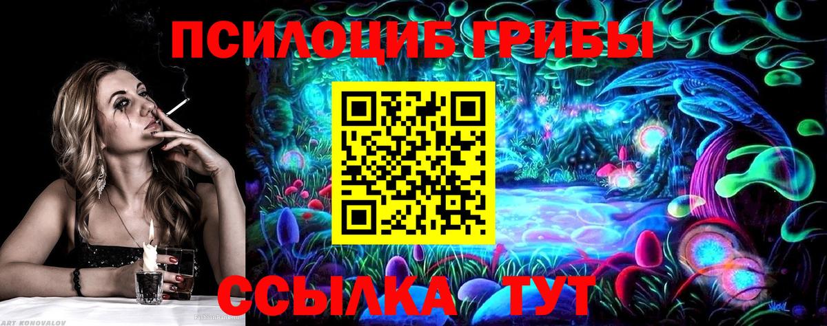 Советская Гавань  Псилоцибиновые грибы MAGIC MUSHROOMS  Вход с VPN 